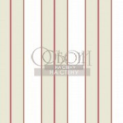 Обои Stripes Resource | TR4279