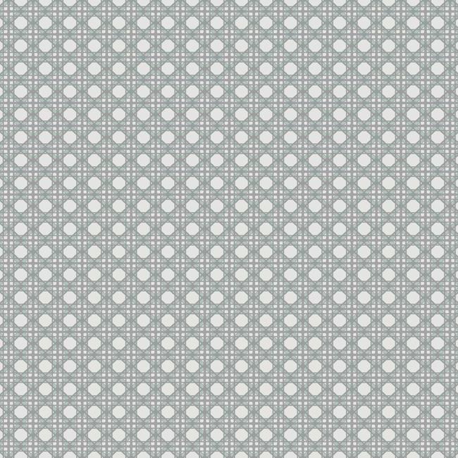 Обои Conservatory | CY1521