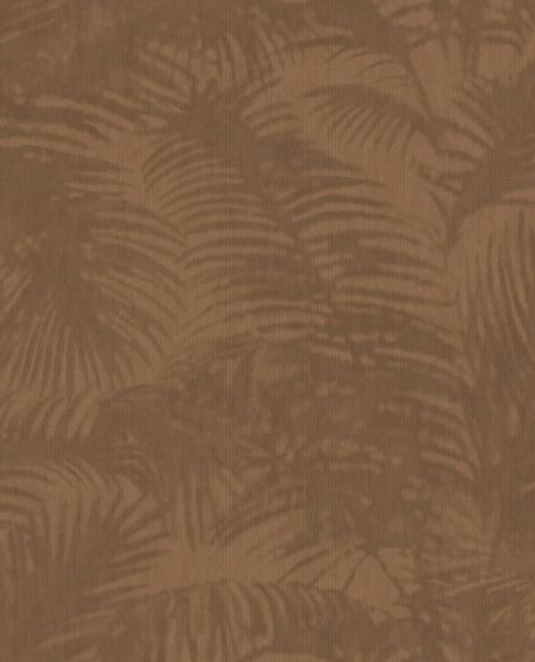 Обои Oasis | 317304