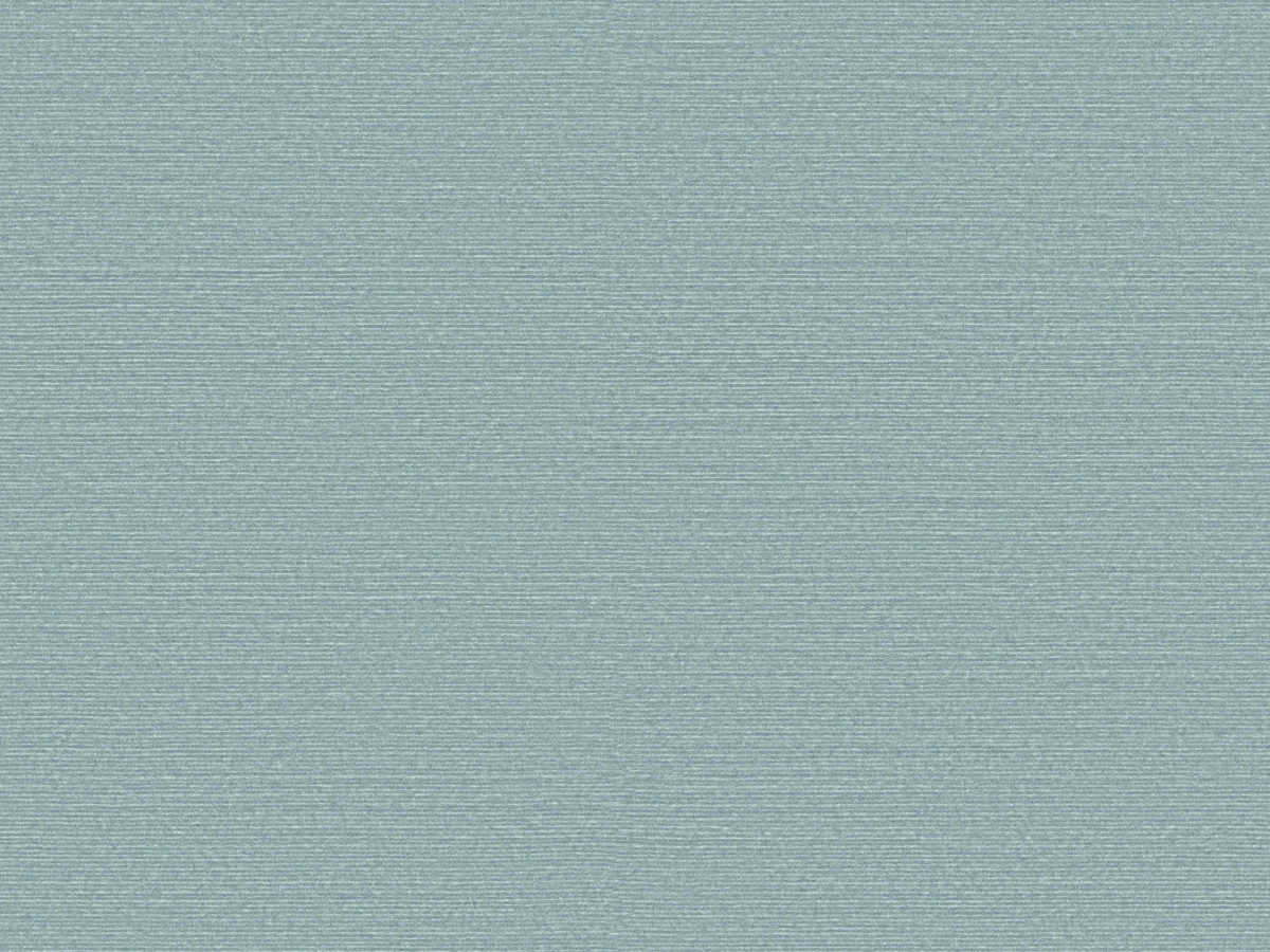 Обои Birds of Paradise | BOP312