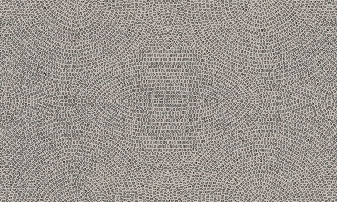 Обои Paleo | 50572