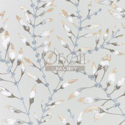 Обои Anthozoa | 111633