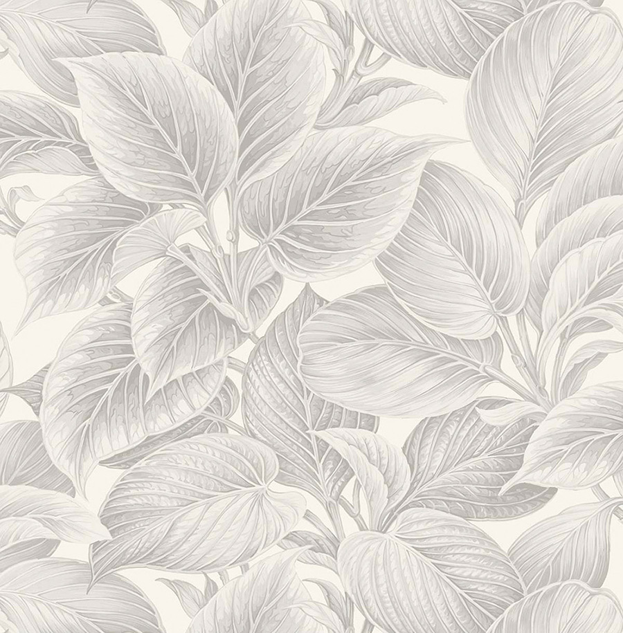 Обои Shades of White | ws70308