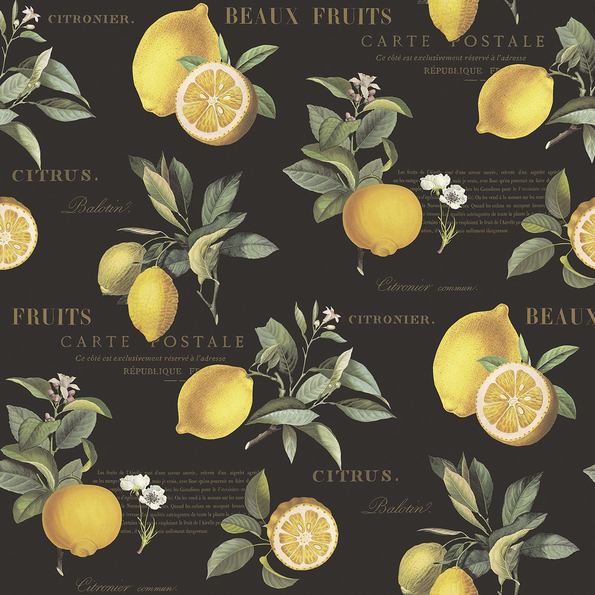 Обои Just Kitchens | G45411