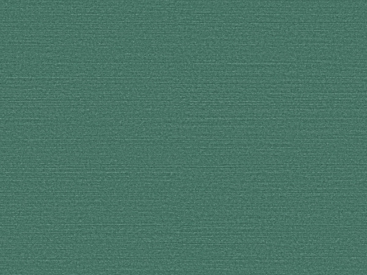 Обои Birds of Paradise | BOP315