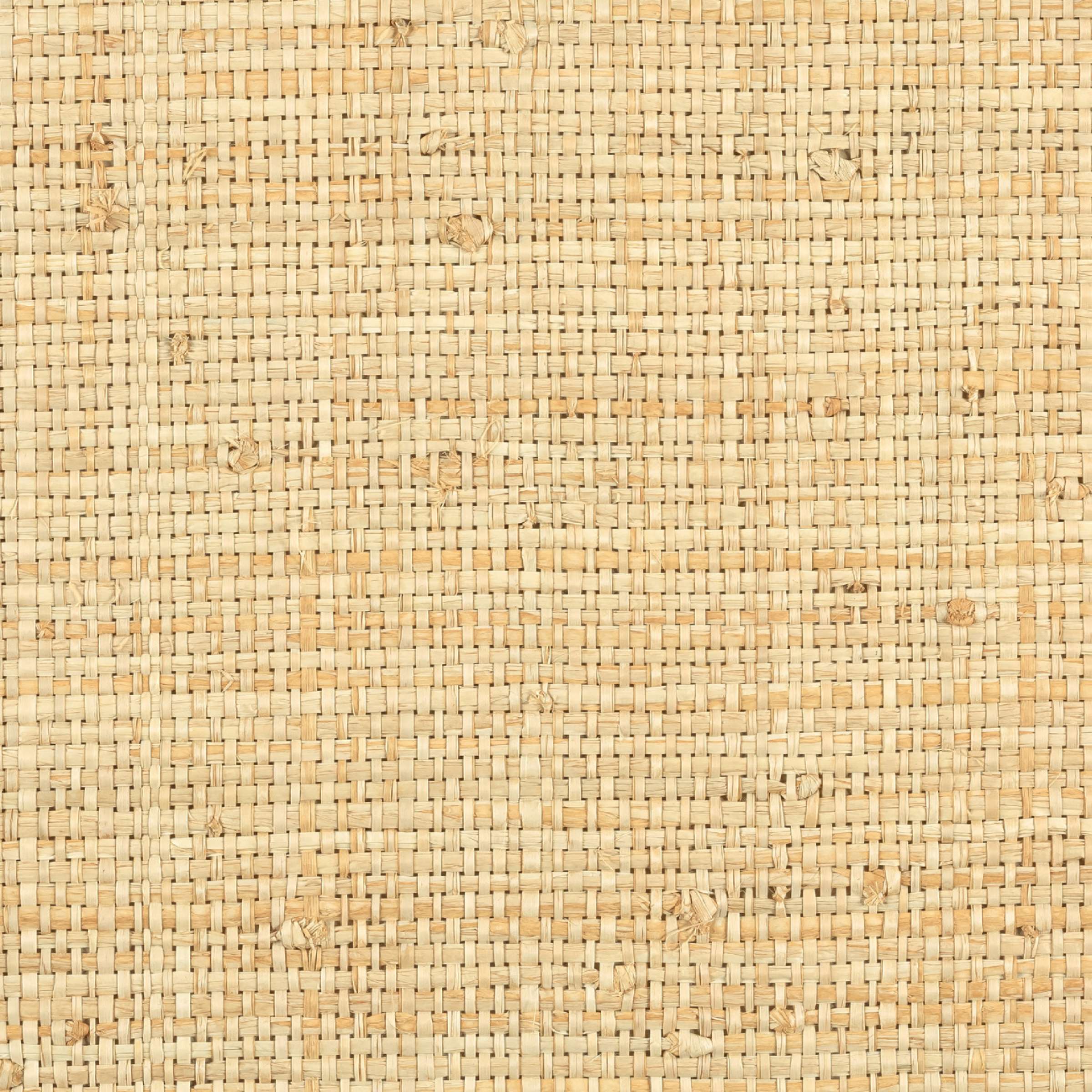 Обои Merida | RM 1017 03