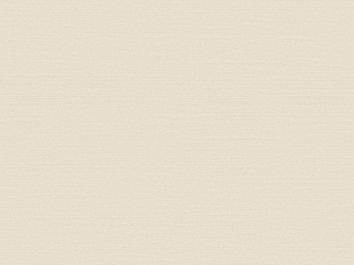 Обои Birds of Paradise | BOP324