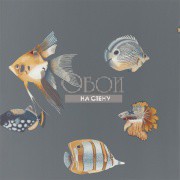 Обои Anthozoa | 111648