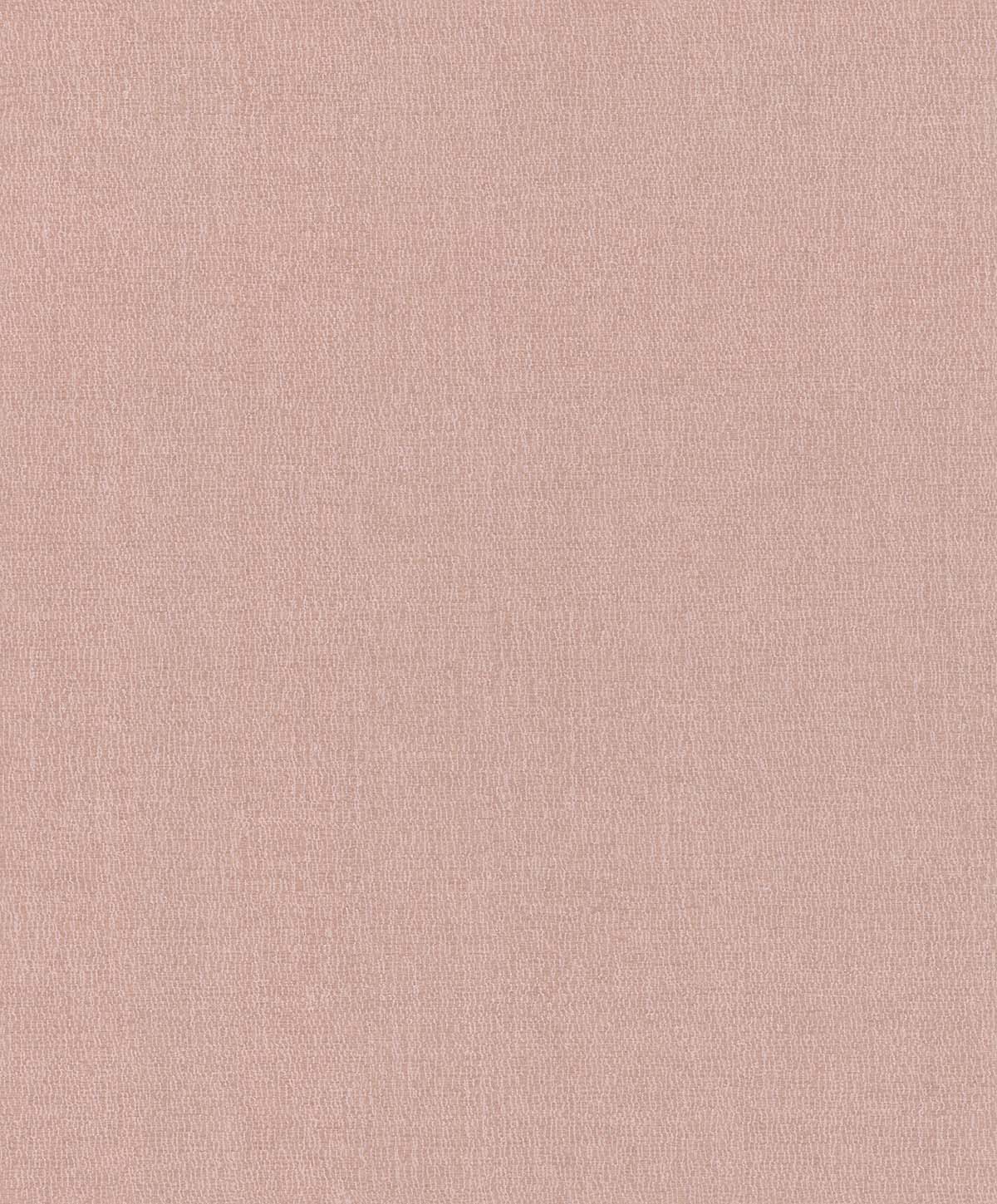 Обои Moana | 301341