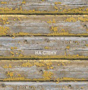 Обои Structure | ir50203