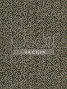 Обои Lexington | 311033