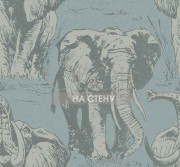 Обои Carl Robinson 10 | cr22102