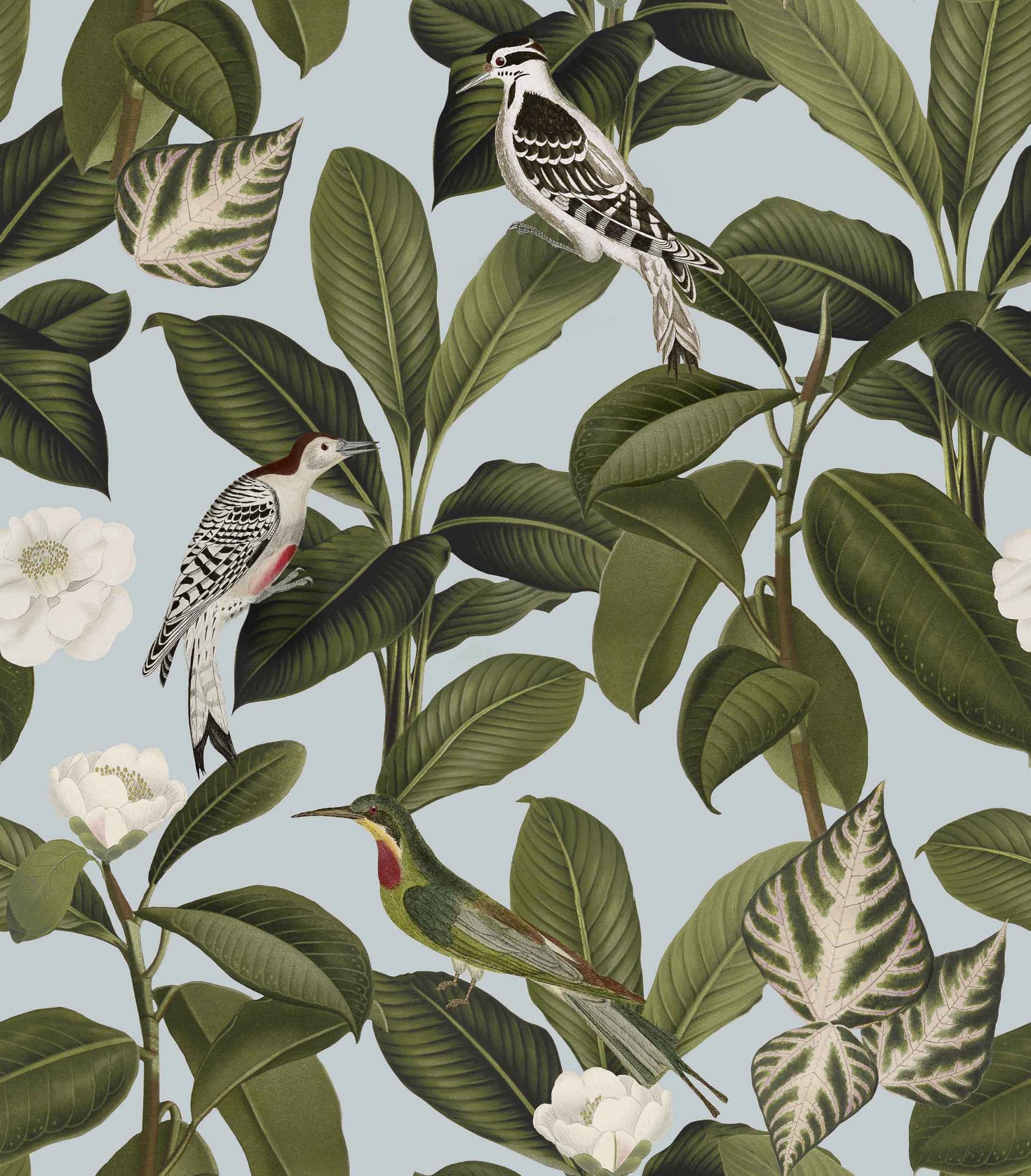 Обои Feria | A00206