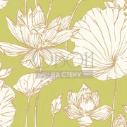 Обои Koi | AI42304