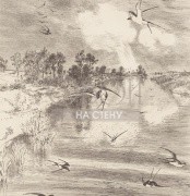 Обои Geonature | 366101