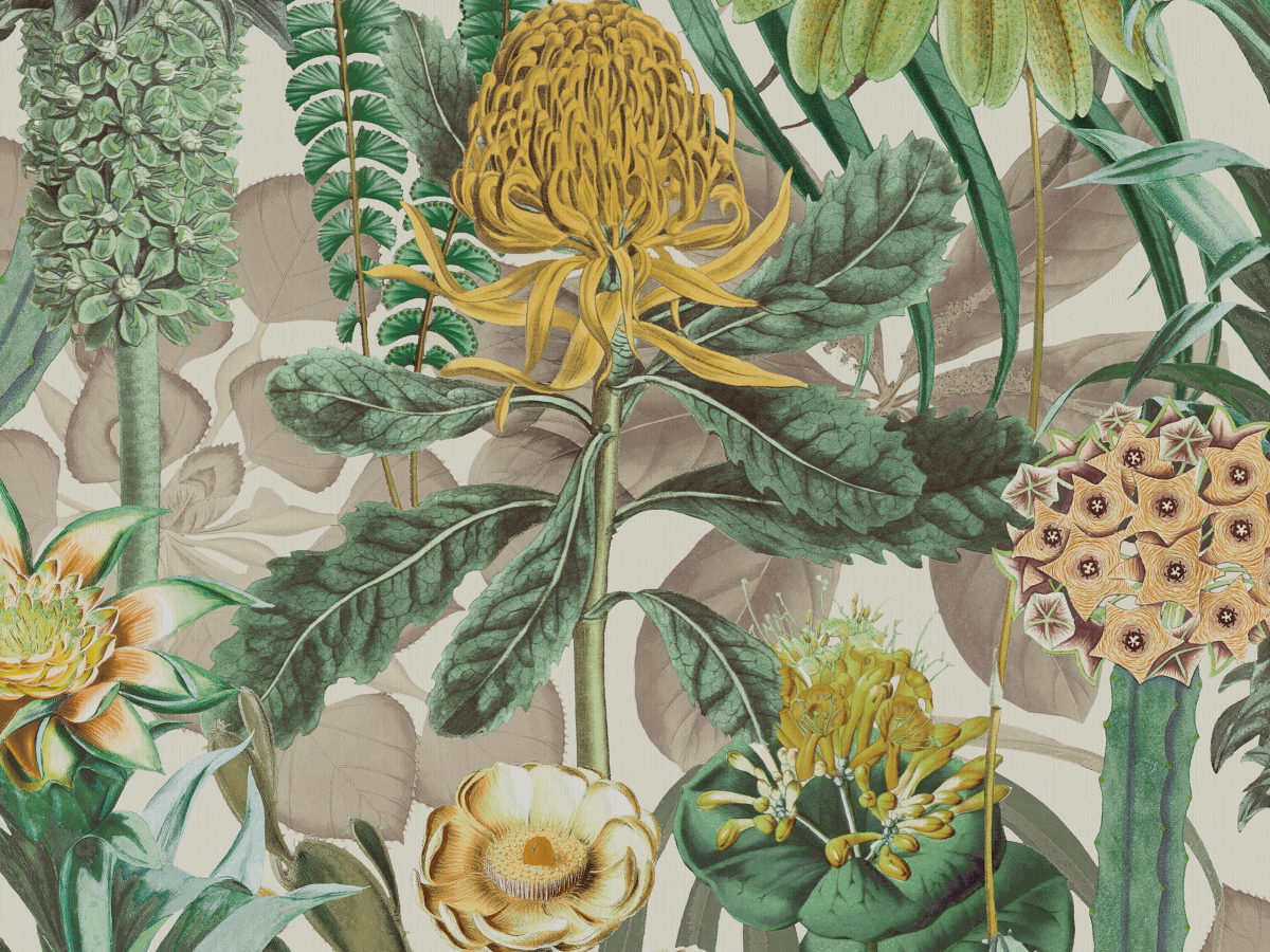 Обои Birds of Paradise | BOP601