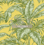 Обои Sage 2 | sg41414