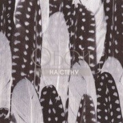 Обои Volare | RM 812-02 Обои Volare | RM 812-02