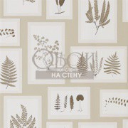 Обои Woodland Walk | 215714