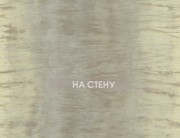 Обои Carl Robinson 2 | cb24408