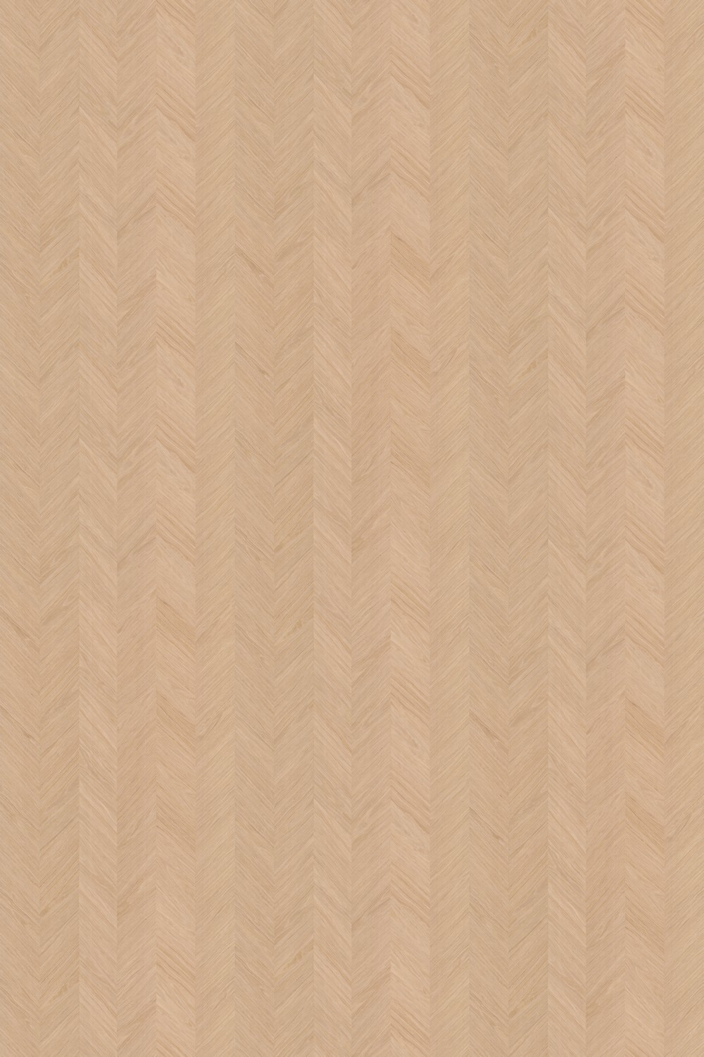 Обои Pure Wood | ARW022