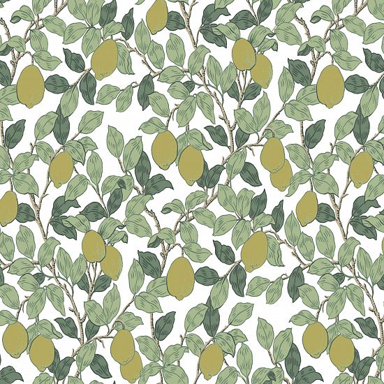 Обои Equator | QTR3 002