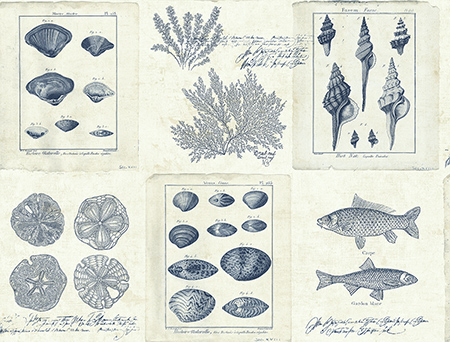 Обои Destination USA | th50902