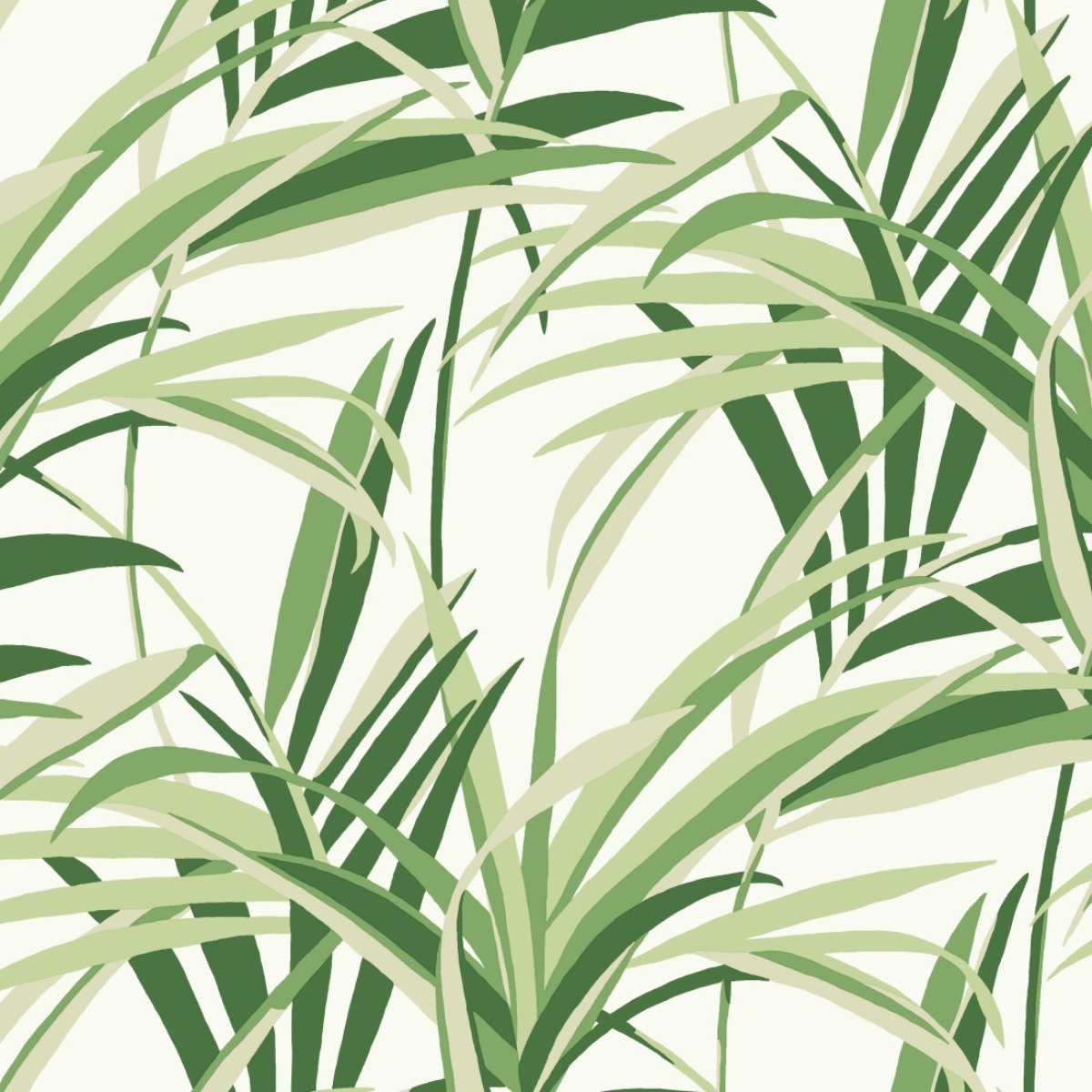 Обои Tropics Resource Library | TC2601