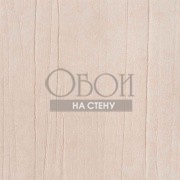 Каталог Space | PIT0202