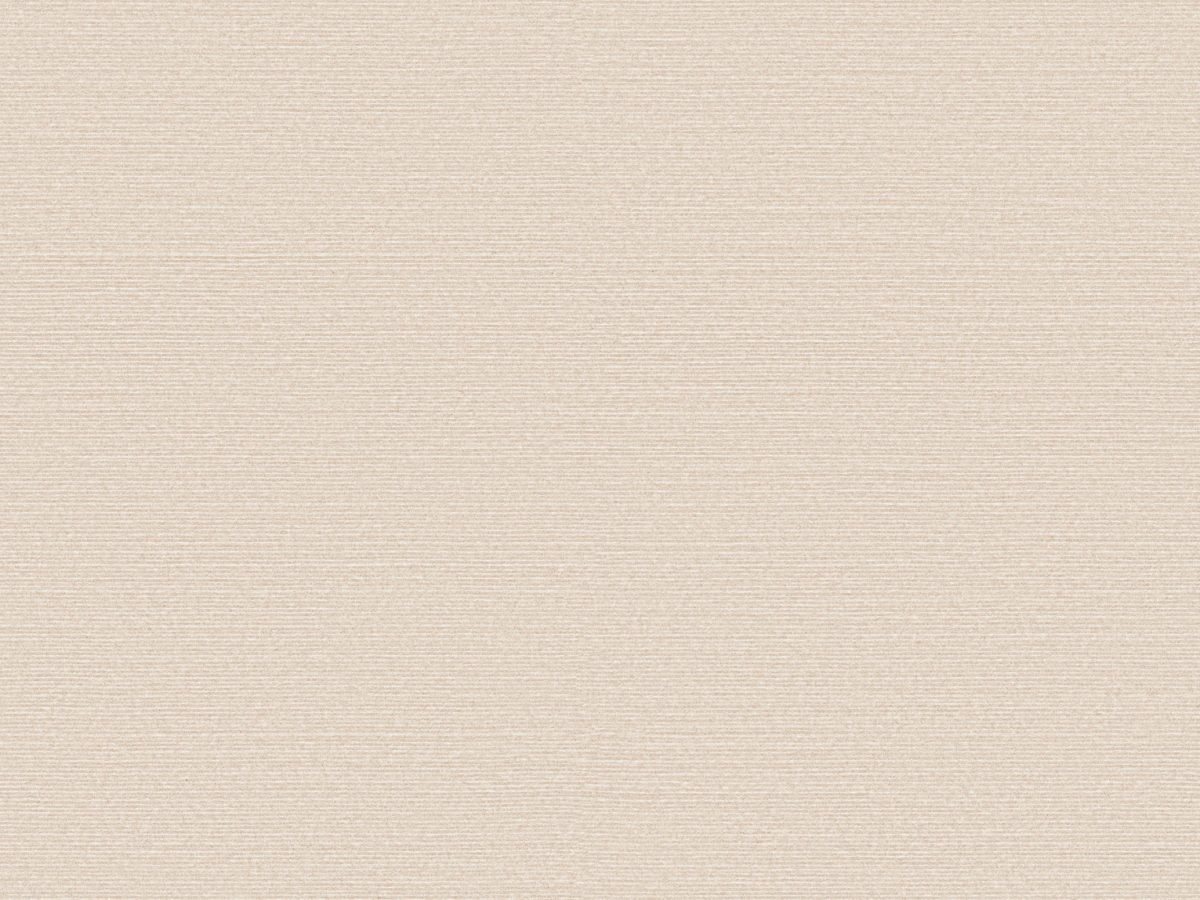 Обои Birds of Paradise | BOP325