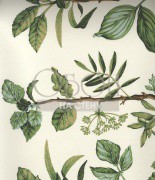 Обои Pierre Frey Wallpapers 1 | FP169002