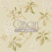 Обои Woodland Walk | 215709