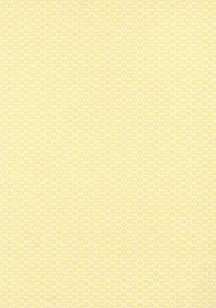 Обои Pavilion | T13366