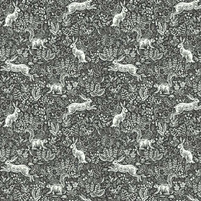 Обои Rifle Paper Co | RI5105