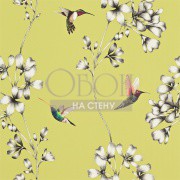 Обои Amazilia | 111061