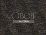 Обои The Cameleon | 1 million