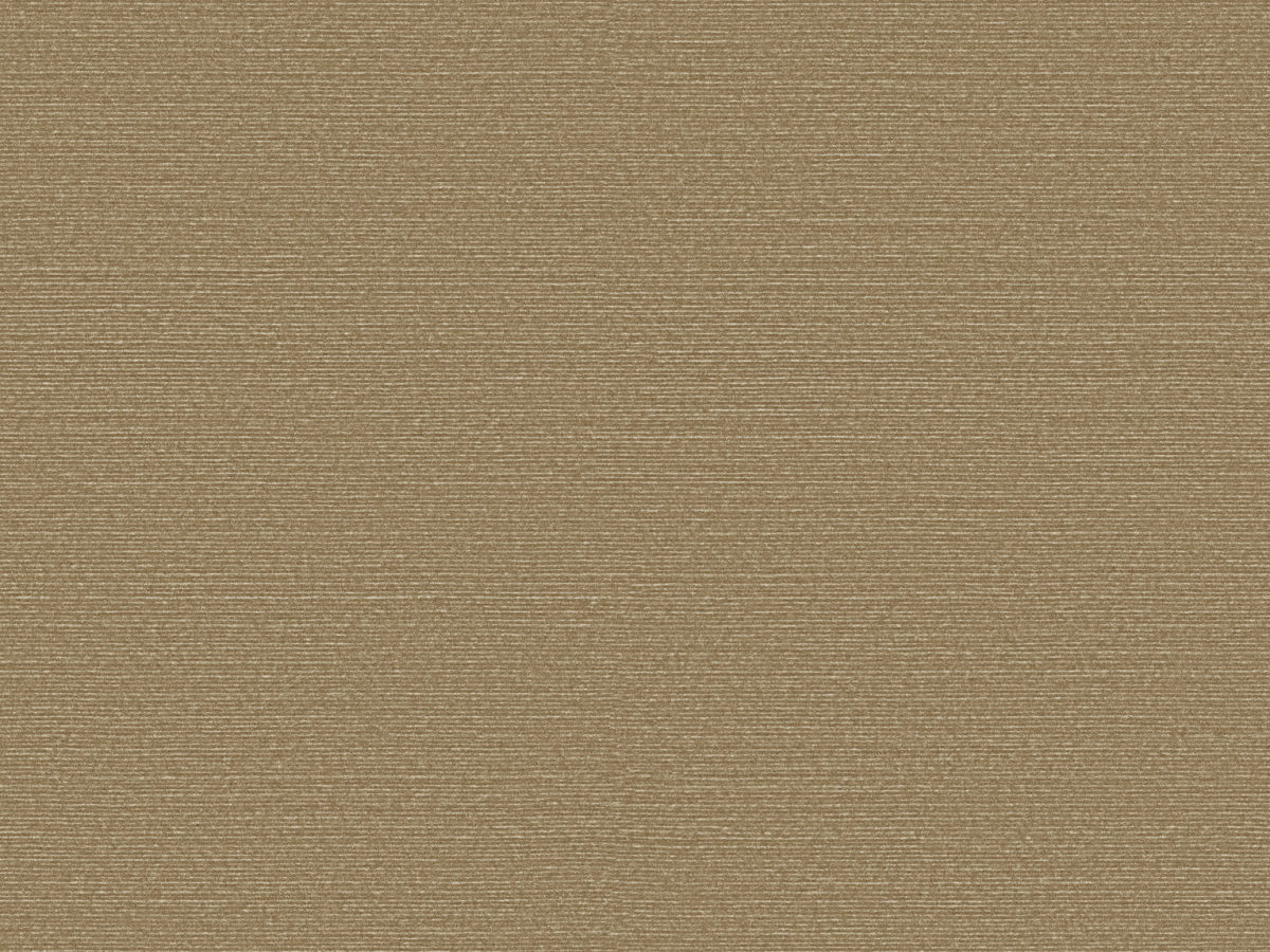 Обои Birds of Paradise | BOP329