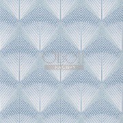 Обои Tulipa Stellata | pdg1032-04