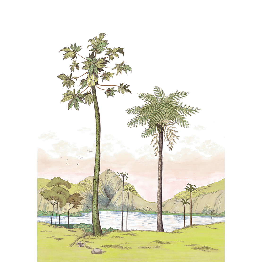 Обои Cuba | 84377454