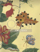 Обои Boussac | W4864003