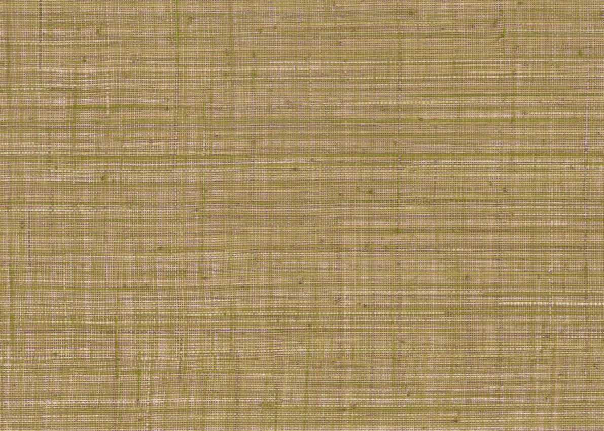 Обои JV800 Tierra | JV6661