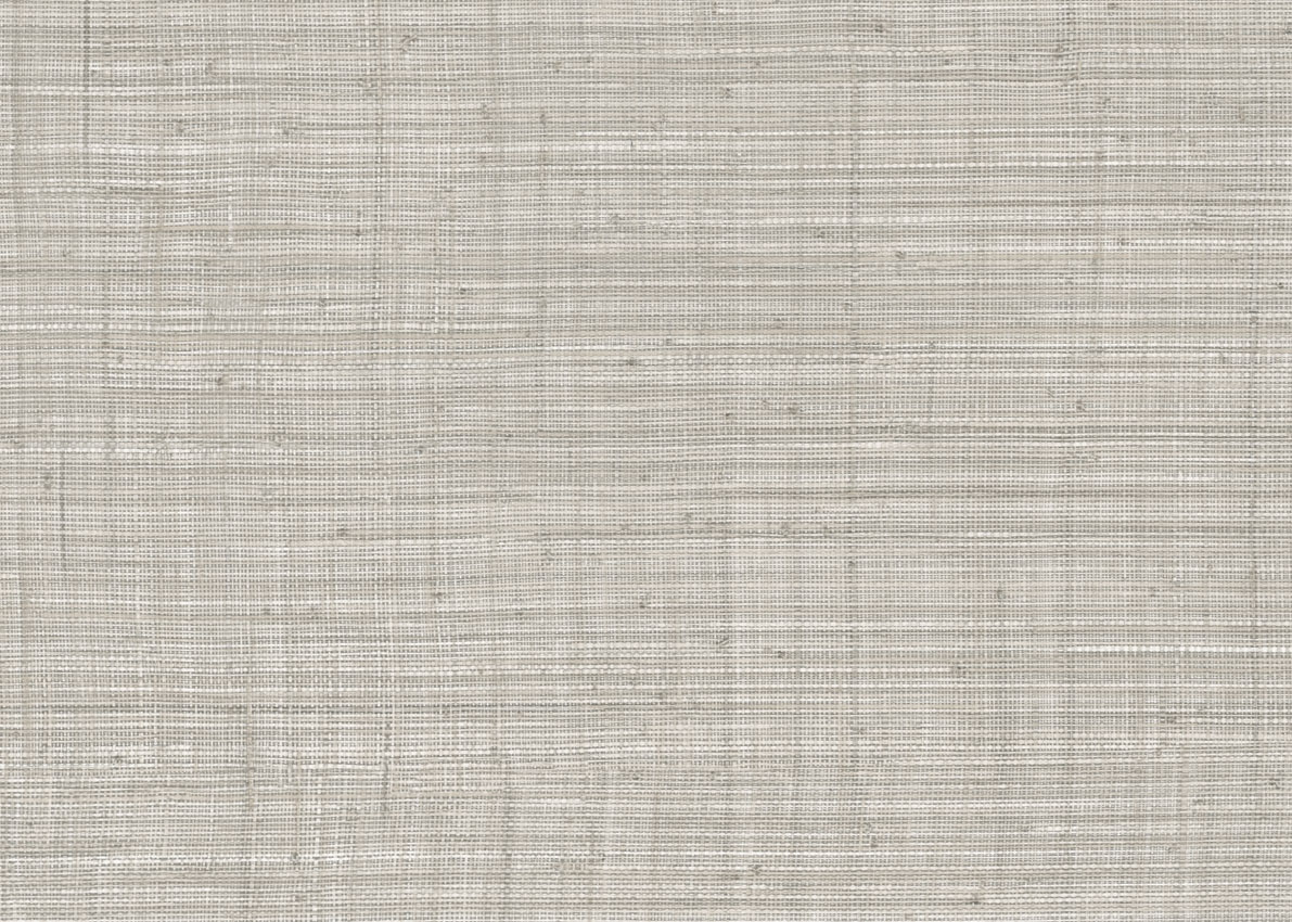 Обои JV800 Tierra | JV6651