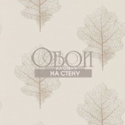 Обои Woodland Walk | 215699