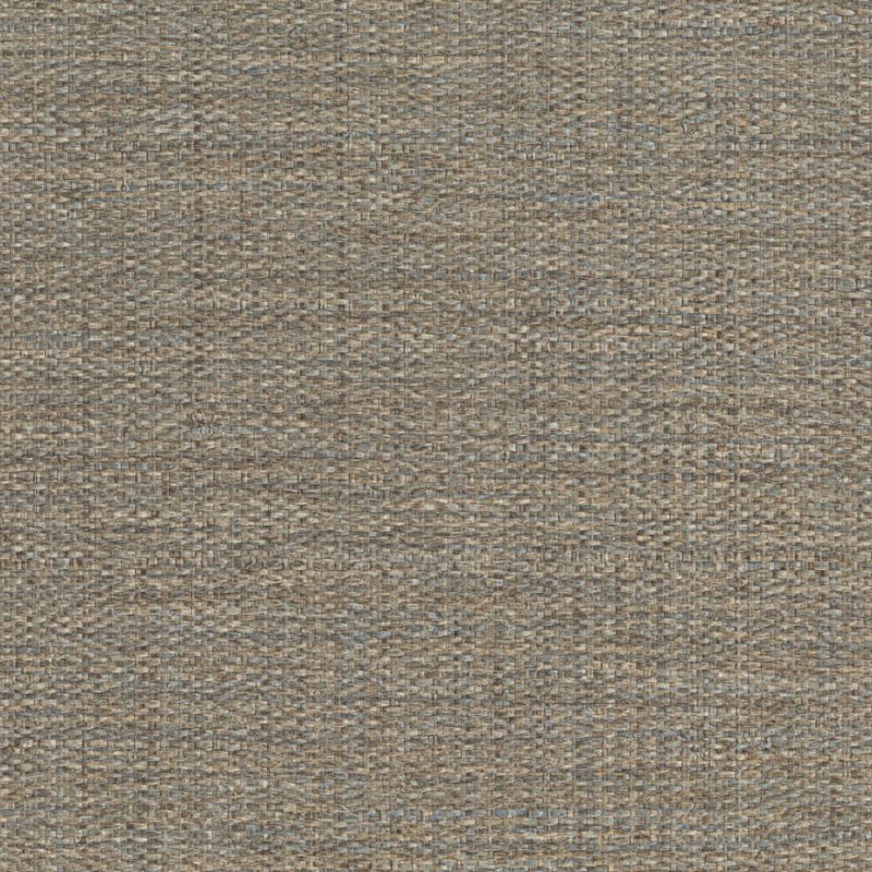 Обои Forest | 50148