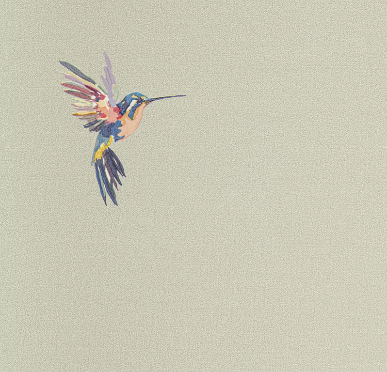 Обои Spectrum Plus | 54356-5