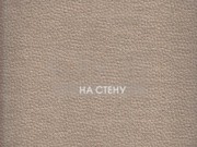 Обои The Cameleon | Roma Cadence