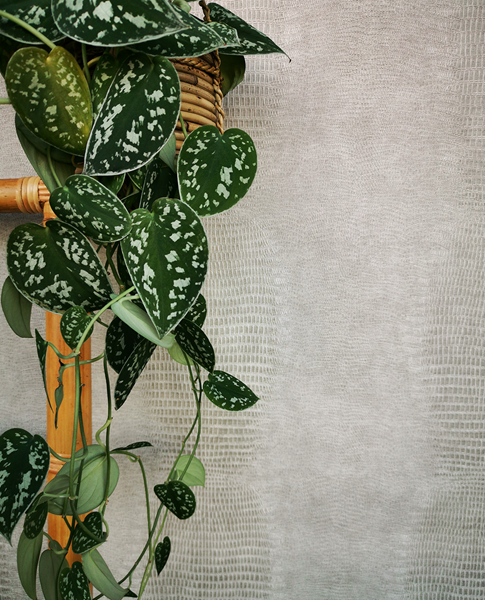 Обои Skin | 300570