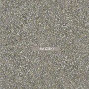 Обои Tulipa Stellata | pdg1031-02