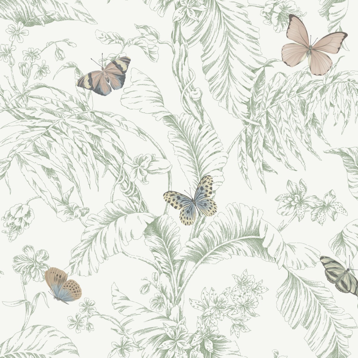 Обои Toiles Resource | RT7930