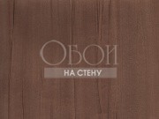 Обои Four Seasons | 730
